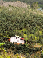 NYTS | Café Monodosis ESE | Descafeinado Mexico