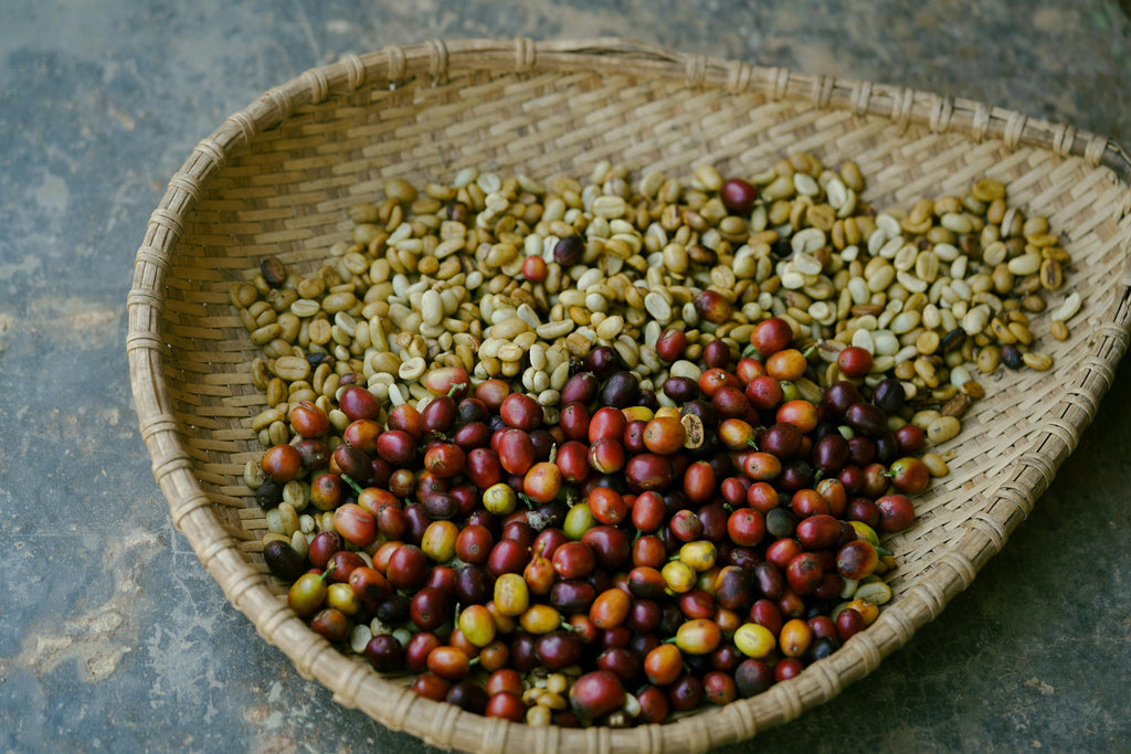 NYTS | ESE Single-Serve Coffee | Natural